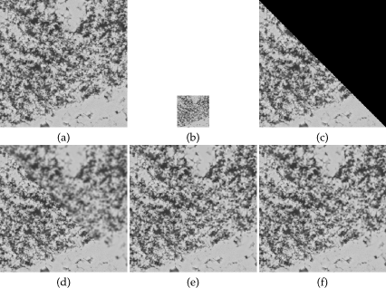 (a) image originale 256 x 256; (b) image BR (facteur 4); (c) image HR partielle; (d) interpolation bicubique de (b) (psnr=24.43); (e) reconstruction TV (psnr=29.52); (f) recontruction par régularisation non locale (psnr=30.16).